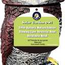 Solar Powered Garden Owl with Motion Detection, Rotating Head, Realistic Hoots and Silent Mode, Outdoor Statue and Sculpture, Owl Decoration for Home, Garden, Patio and Lawn