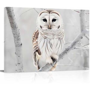 Winter Owl Canvas Print Wall Art - Cute White Owl Perch On Tree Branch - Wall Decor Modern Artwork Paintings Pictures for Living Room Stretched and Framed Ready to Hang - 24" x 36"