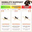 Adjustable Dog Ramp - 45" L x 18.5" W Bed Ramps for Small Dogs with 6 Incline Levels & Non-Slip Traction Carpet - Also Ideal for Medium & Large Breeds (Natural)