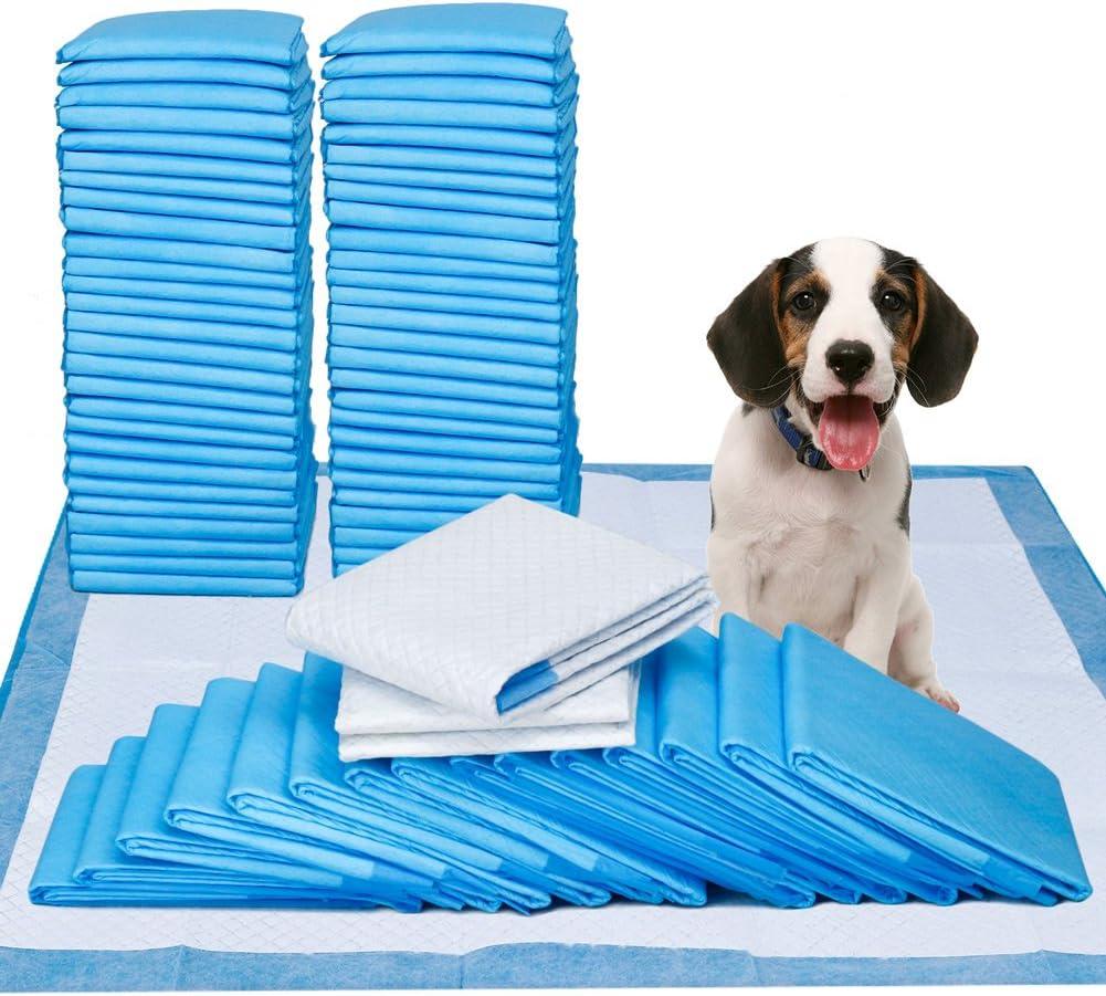 Petphabet Dog Pads - 100 Count, 23" x 24" Puppy Training Pads