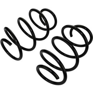 MOOG 81596 Coil Spring Set for Nissan Maxima