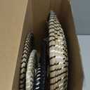 Tatuo 11 Pcs Boho Wall Basket Decor Bulrush Woven Wall Hanging Art Round Farmhouse Rustic Handmade Wicker for Summer Home, Bedroom, Living Room, Kitchen Decorations, Multi Sizes(Dark)