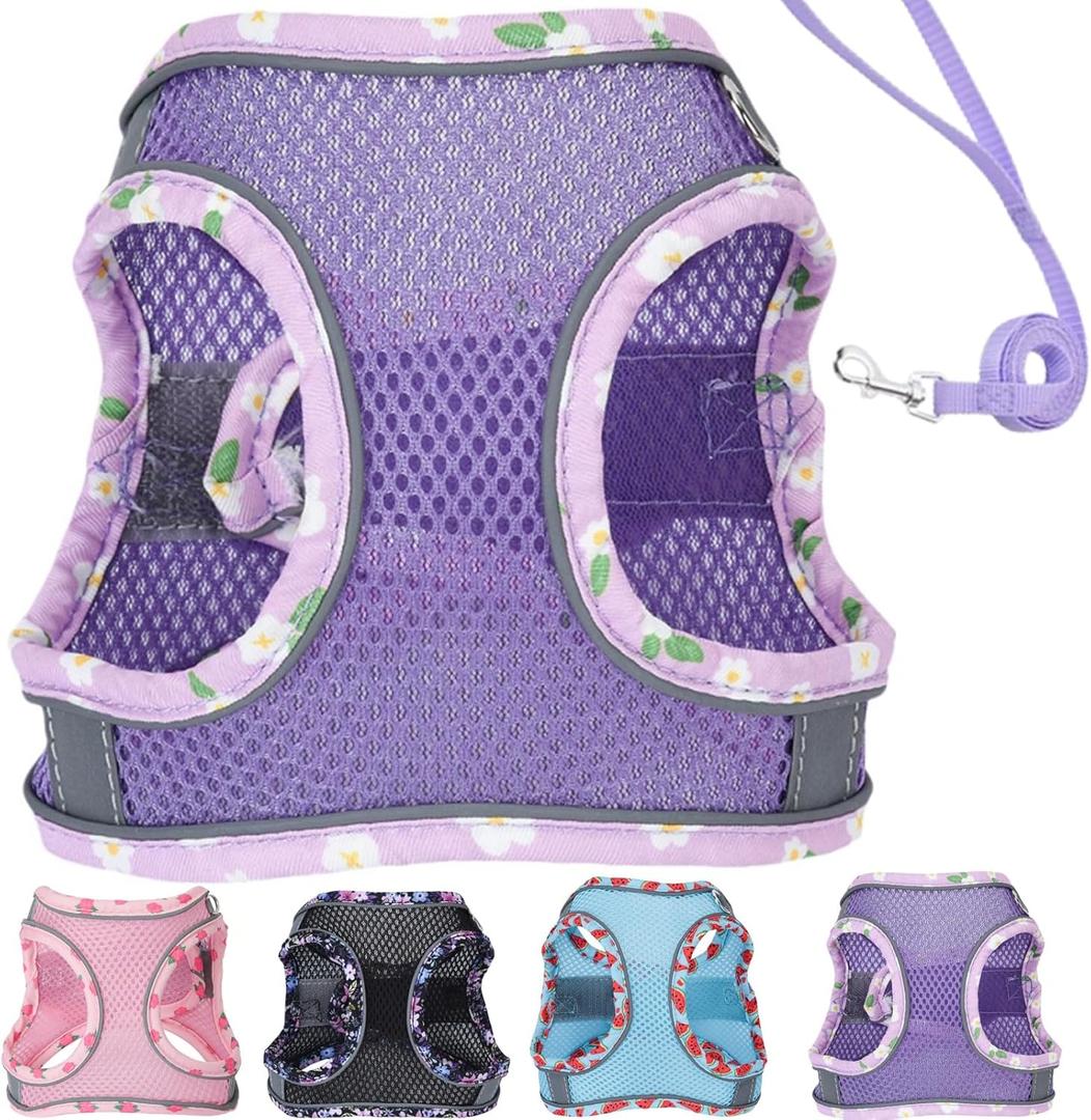 Petank Dog Harness for Small Medium Dogs No Pull, Puppy Harness and Leash Set, Mesh Adjustable Breathable Light Vest for Walking, Running, Training. (Purple, S)