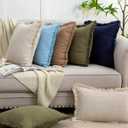 Set of 2 Fringe Throw Pillow Covers with Tassel Trim for Farmhouse Living Room,Soft Cotton & Cozy Linen, Boho Sytle Decorative Home (Baby Blue, 20x20 Inch)