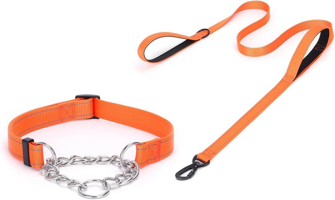 haoyueer Martingale Dog Collar with Stainless Steel Chain and Leash Set, Martingale Collar with Reflective, 5FT Double Handle Dog Leash Padded, Adjustable for Medium Large Dogs (L, Orange)