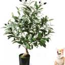 2ft Easter Olive Tree Artificial Indoor with Pot, Spring 24" Tabletop Faux Plant Small Fake Olive Tree for Home Office Balcony