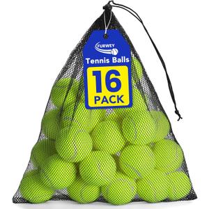 Tennis Balls for Dogs 16 Pack,2.5 inches,Durable and Non-Toxic Dog Toys Balls with Mesh Bag,Yellow Fetch Toys Balls for pet Dog (Non Squeaky)