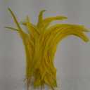 Sowder Yellow Rooster Coque Tail Feathers 12-14inch Lengh Pack of 20