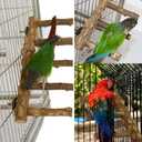 Bird Parrot Ladder Perch for Cage, Nature Wooden Bird Bridge Exercise Stands Parrot Climbing Chewing Toys for Small Animal