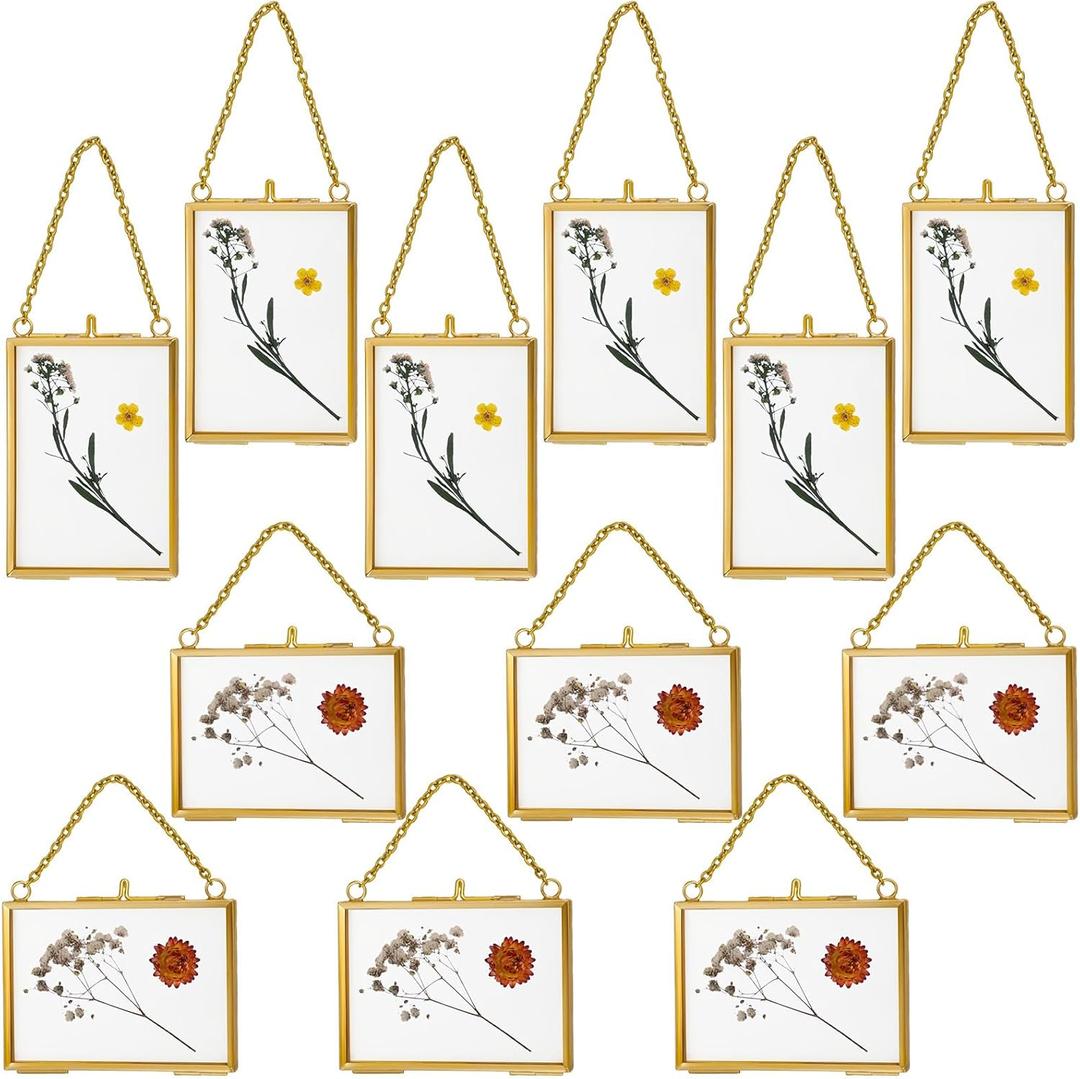 Kigley 12 Double Glass Frame for Pressed Flowers Floating Hanging Photo Frame 3.5 x 2.5 in Brass Clear Pressed Flower Decor with Chain for Display Gallery Artwork, Horizontal Vertical (Gold)