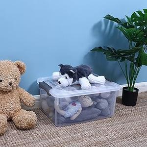 Citylife 17 QT Plastic Storage Bins with Latching Lids Stackable Storage Containers for Organizing Large Clear Storage Box for Garage, Closet, Classroom, Kitchen, 1 Pack