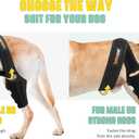 Dog Knee Brace for Torn ACL Hind Leg, Rear Leg Cruciate Ligament Braces for Dogs, Strong Support to Reduce Joint Pain and Muscle Sore, with Side Stabilizers for Back Leg, X-Small