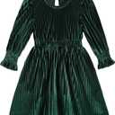 Toddler Baby Girl Dress Ruffle Long Sleeve Floral Dresses Casual Fall Winter Outfits for Girls (2-3T, Green)