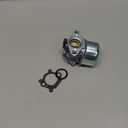 799868 Carburetor Fits 498170 497586 497314 698444 498254 497347 Models, 4-7 hp Engines with No Choke, Replacement Carburetor with Gasket and O-Ring 497410 499617 692648 693909 694202 790821 799872