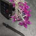 Butterfly String Lights, Waterproof Solar String Lights 16ft 20LED Butterfly Solar Fairy Lights Decorative Lighting for Wedding,Garden,Home,Porch,Lawn,Holiday Decorations (Multicolor)