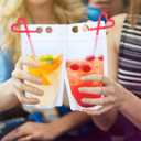 20 PCS Drink Pouches Bags with 20 Disposable Plastic Straws, Hand-held Frosted Translucent Reclosable Zipper Juice Pouches for Adults and Teens