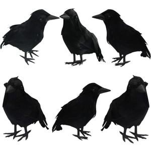 FUNPENY Halloween Black Feathered Crows, Lifelik Halloween Decoration Birds with Real Feather (6 Pack)