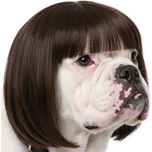 Funny Dog Wig for Small Medium Large Dogs with Adjustable Elastic Bands, Trimmable Pet Costume Cat Cosplay Decoration for Halloween, Christmas, Parties (One Size)