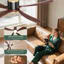 BLNAN 52" Premium Walnut Solid Wood Ceiling Fan with Light - Whisper-Quiet DC Motor, 6 Speeds, 3000K-6000K Dimmable LED, Remote Control with Timer, 2 Downrods for Indoor/Outdoor, A++ Energy Saving