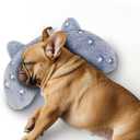 Dog Pillows for Medium Dogs, Glow in The Dark Soft Neck Pillow, U-Shaped Pillow for Cat and Dog, Machine Washable Toy & Birthday Gift (Glow Blue, M)