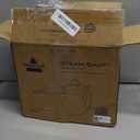 BISSELL® Steam Shot™ OmniReach handheld portable steam cleaner for tile, grout, windows, bathrooms, kitchens, fabric steaming tool, includes 10 tools