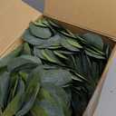 Giegxin 200 Pcs Artificial Eucalyptus Stems Leaves Bulk 11.8 Inches Tall Silver Dollar Eucalyptus Fake Greenery Stems Faux Plant for Floral Arrangement Vase Gray Green Leaves Decor Wedding