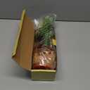 Emoin Talking Cactus Toy, Interactive Toys Dancing Cactus Toy Mimicking Repeating What You Say, Toddler Infant Baby Toys Gifts for 6 7 8 9 10 Month Old Baby Toys for 1 2 3 Year Old Boy Girl