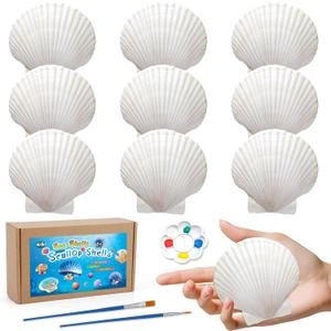 MORFEN 10 PCS Scallop Shells, Seashells for Crafts, 4''-5'' White Sea Shells for Crafting Decorating Painting, Large Seashells to Paint DIY Craft Beach Wedding Party Decorations