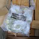 Backyard Discovery Belmont Cedar Wood Swing Set with Wave Slide, Play Deck, Rock Wall Ladder, Snack Bar Window, Shaded Picnic Area, Bench, Belt Swings, Trapeze, Sandbox Area, Canopy, Outdoor Playset (Large, Green)