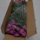 Outdoor Artificial Flowers UV Resistant & Fade Proof, 12 Pack Realistic Fake Flowers for Garden, Patio, Lawn Decor - Weatherproof Plastic Plants (Magenta)