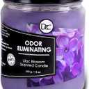 Lilac Blossom Odor Eliminating Highly Fragranced Candle - Eliminates 95% of Pet, Smoke, Food, and Other Smells Quickly - Up to 80 Hour Burn time - 12 Ounce Premium Soy Blend