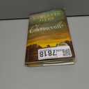 Chenneville: An Epic Historical Fiction with a Revenge-Driven Quest, Experience a Deadly Pursuit in the Reconstruction Era