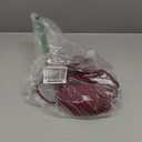 Burgundy Swim Suit 2 pieces