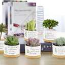 Tarklanda 6Pcs Teacher Appreciation Gifts Succulent Pots Mini Ceramic Plant Pots with Bamboo Tray Green Plants Pots Planters for Best Teacher Thank You for Helping Me Grow Plants Not Included