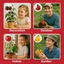 5 Tomato & Tomatillo Garden Seeds Variety Pack - Non-GMO Heirloom Tomato & Tomatillo Seeds with Planting Tools, All-in-One Growing Kit for Christmas Gift & Indoor Home Gardening
