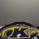 FANMATS 33672 Kent State University Mascot Rug