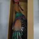 Solar Rooster Statue Light Outdoor, 18" Metal Yard Art Rooster Figurines(Retro Rooster).