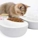 Cat Food and Water Bowl  Avocado Cat Bowl with Water Dispenser Pet Bowl& Small Dogs, Non-Spill, Anti-Choke, Eco-Friendly Dog Feeding Bowl Water Fountain 3-in-1 (Gray&White)