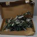 Artificial Olive Branch Stems 5pcs 28 Inch (Green)