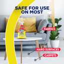 Resolve Urine Destroyer Spray  Pet Stain and Odor Remover, Carpet Cleaner Solution for Cat and Dog Urine, 32 Fl Oz