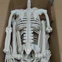 CAMIRUS 2PACK 36" Skeleton Halloween Decorations, 3ft Life Full Size Skeleton with Realistic Posable Movable Joints for Halloween Haunted Houses, Lawn, Graveyard