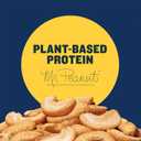 2 x PLANTERS Lightly Salted Cashews, Cashew Halves & Pieces, Plant-Based Protein, 8 Oz Canister, Great Party Snack (EXP 01/25/27)