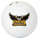 Desert Cactus Kennesaw State University Golf Balls 3 Pack Full Color Golf Ball (Design B)