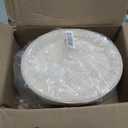 DaYammi 12 Inch Oval Paper Plates 125 Pack 100% Compostable Plates