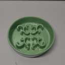 Slow Feeder Dog Bowl, 0.6 Cups Ceramic Dog Food Dish for Fast Eaters Small Breed, Puzzle Bowl for Small Dogs and Cats(Green)