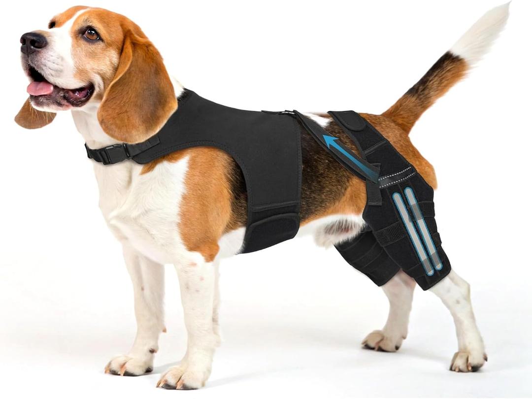 Dog Knee Brace for Hind Leg Support Dog Leg Brace with Metal Stabilizers for Dogs with Torn ACL, Luxating Patella, Ligament Injuries & Hip Dysplasia, Limping or Osteoarthritis Recovery, M