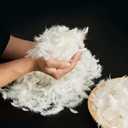 ROSE FEATHER Bulk Goose Down Feather Stuffing & Fill – Hypoallergenic Pillow Filling, Repair, Restuff, Fluff for Couch Cushions, Comforters, Jackets10/ 90-2Lb DIY