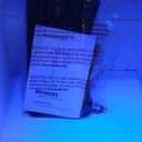 EdgeStar BR1000SS Refrigerator for Kegerator Conversion (Stainless Steel)