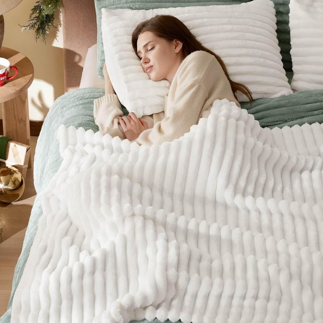 Bedsure Twin Blanket for Bed - GentleSoft Cozy Soft Blankets for Women, Cute Small Fleece Throws for Girls, Off White, 60x80 Inches (Twin (60" x 80"))