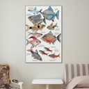 JHXNJDPOST Tropical Fish Poster Fishing Aquarium Educational Knowledge Canvas Wall Art Aesthetic Decorative Painting Living Room Restaurants, Pool Halls And Classroomstyle 16x24inch(40x60cm)
